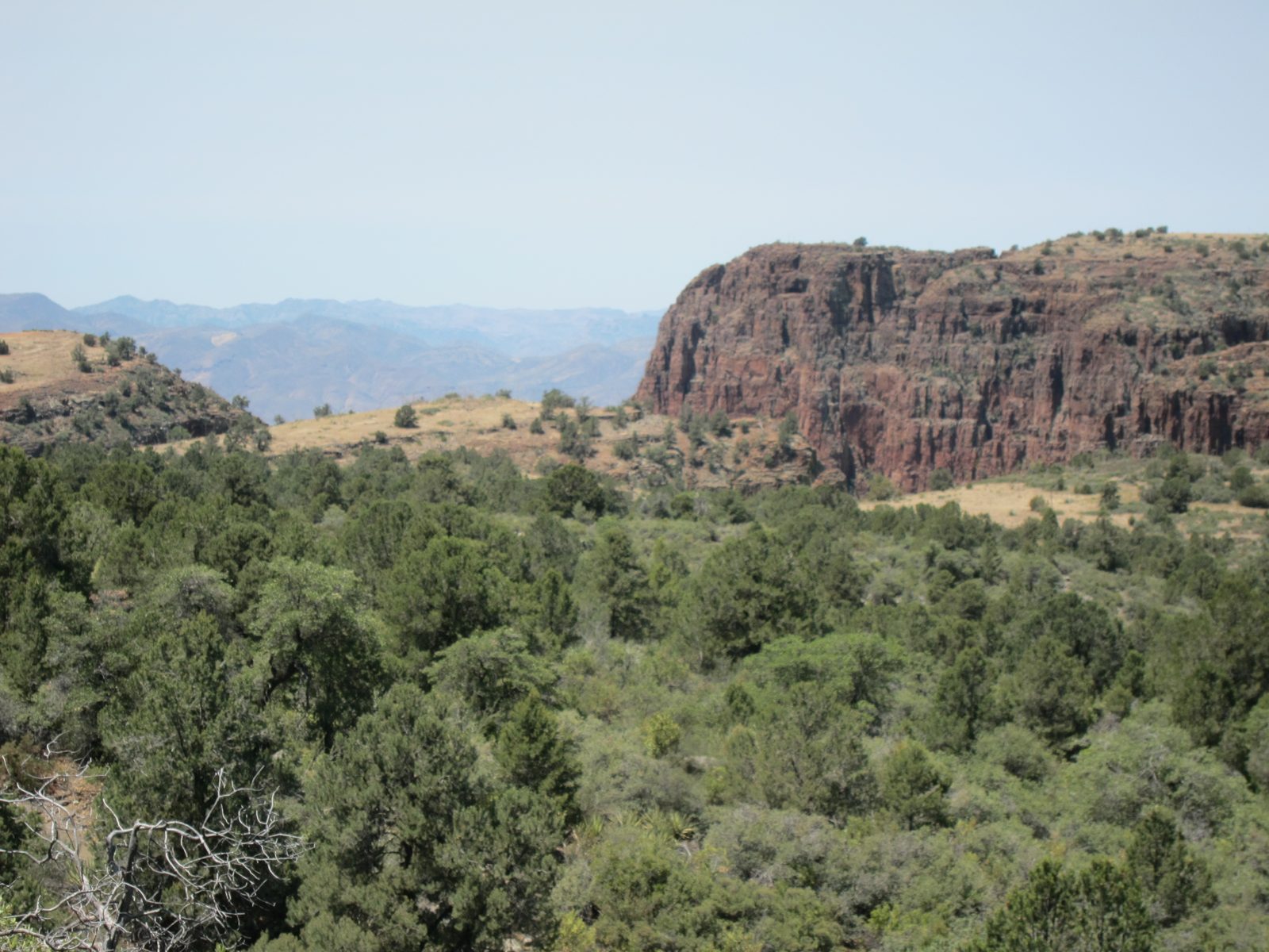 Some interesting rocks as we continue back to the desert.  This road was called Desert to the...